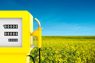  Problemas causados pela poluição de caminhões e o uso do Biodiesel como solução 