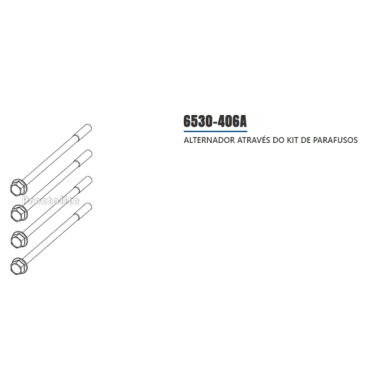 KIT PARAFUSO ALT NTG AVI150P2125HP