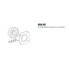 KIT ROLAMENTO ALT SCANIA NTG AVI150P2125